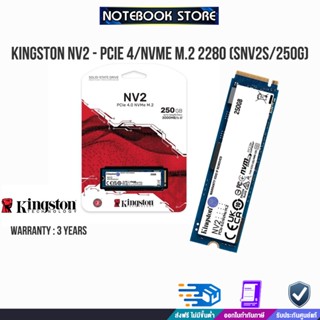 KINGSTON NV2 - PCIe 4/NVMe M.2 2280 (SNV2S/250G) /ประกัน3y