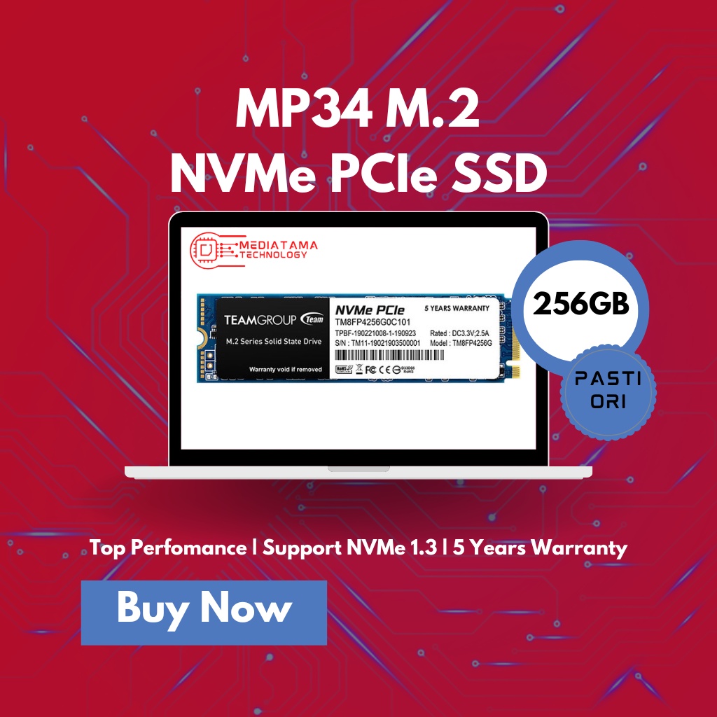 Ssd TEAM MP34 M.2 2280 NVME 256GB
