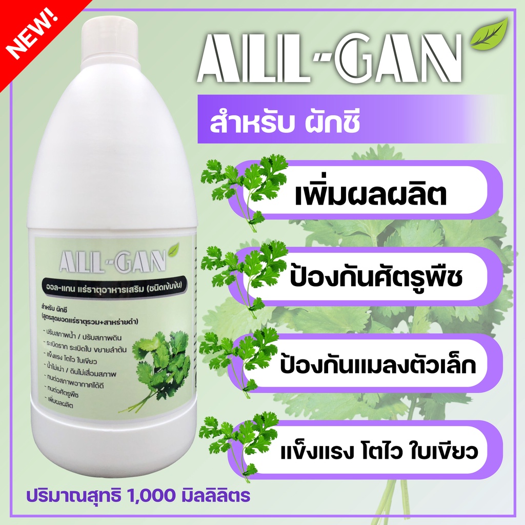 ปุ๋ยน้ำผักชีป้องกันใบจุด ลายช่วยไม่ให้โคนเน่าต้นเหลืองก้านใบแตกALL-GAN1000ml. ธรรมชาติ100%