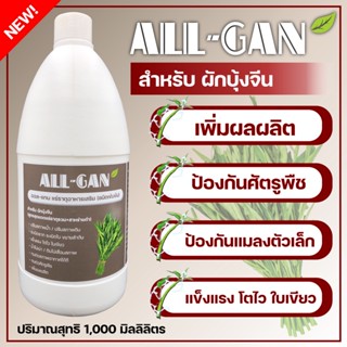 ปุ๋ยน้ำผักบุ้งจีนป้องกันใบจุดALL GAN1000mlช่วยไม่ให้โคนเน่าต้นเหลืองก้านใบแตกสูตรเข้มข้นพิเศษใช้ได้นานจากธรรมชาติ100%