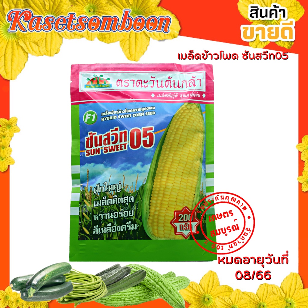 เมล็ดข้าวโพดหวาน พันธุ์ ซันสวีท 05 200 ก. ตรา ตะวันต้นกล้า ฝักยาว ใหญ่ เนื้อนุ่ม หวาน อร่อย