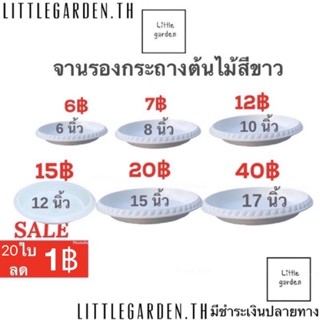 Little จานรองกระถางสีขาว 15 นิ้ว 17 นิ้ว 12 นิ้ว 10 นิ้ว 8 นิ้ว 6 นิ้ว (ขาวออร่าA+🤍)