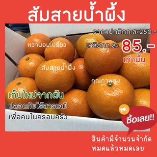 ส้มสายน้ำผึ้งส่งตรงจากสวน