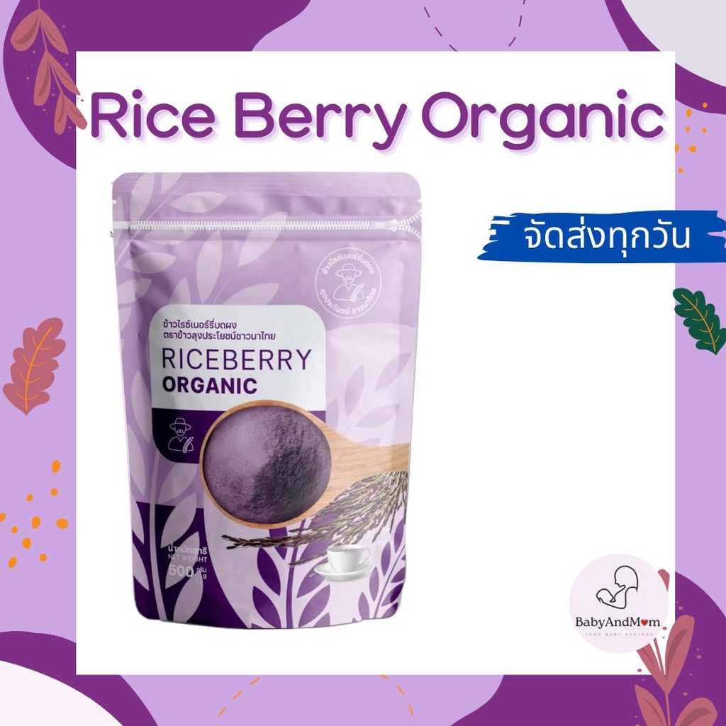 ส่งไว จมูกข้าวไรซ์เบอรรี่บดผง Rice Berry Organic 500 กรัม อร่อยได้ ...
