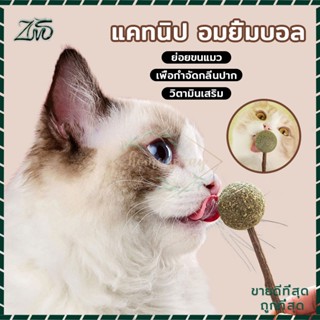 กัญชาบอล กัญชาแมว แคทนิป กัญชาเเมว ลูกบอลแคทนิป แคทนิป Catnip Ball แคทนิปบอล ของเล่นแมว เล่นสนุกเพลิดเพลินกว่าเดิม