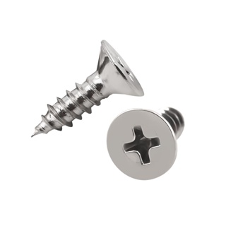 SELF-TAPPING สกรูเกลียวปล่อย TF DEXZON 10X5/8 นิ้ว 25 ตัวSELF-TAPPING SCREWS TF DEXZON 10X5/8IN 25EA