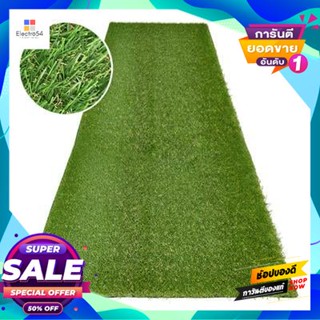 Artificial หญ้าเทียม รุ่น Ample PX2-3501G073-BL ขนาด 1 x 4 เมตร สีเขียวแซมน้ำตาล Artificial Grass FONTE Model Ample PX2-