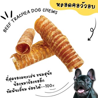 หลอดลมวัวอบแห้ง หลอดคอวัวอบแห้ง ขนมสุนัข ขนมขัดฟันน้องหมา umm BEEF TRACHEA DOG CHEWS