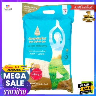 วัตถุดิบ ฉัตรไลท์ ข้าวสาร กข43 5 กิโลกรัม Chat Light Khaosan RD43 5 kg.ข้าว