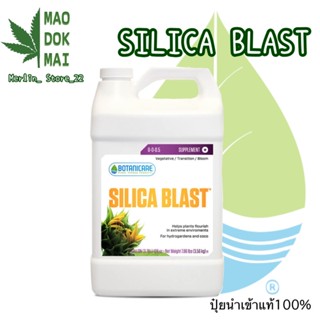 ปุ๋ย Silica Blast by botanicare ขนาดแบ่งขาย50ML 100 ML ปุ๋ยนอกนำเข้าเองของแท้100% ปุ๋ยUSA ปุ๋ยนอก ปุ๋ยกัญชา