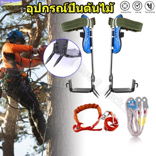 【Good_luck1】ที่ปีนต้นไม้ อุปกรณ์ปีนต้นไม้Tree Climbing ปีนต้นไม้ ต้นไม้ รุ่น เข็มขัดเซฟตี้ เข็มขัดนิรภัยคาดเอวครึ่งตัว