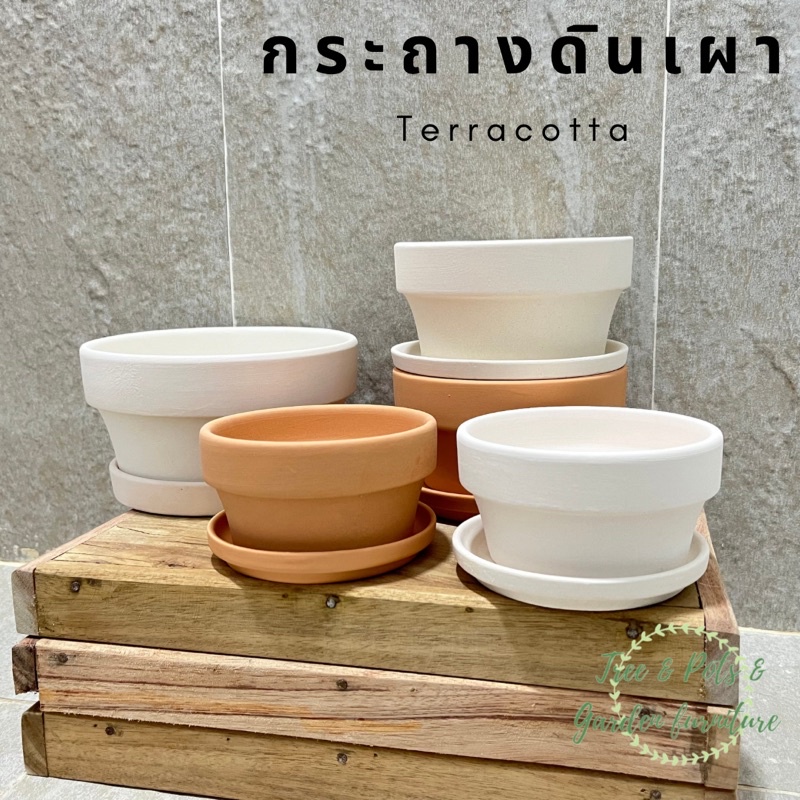 กระถางเนื้อเนียนทรงเตี้ย กระถางทรงก้นตื้น เหมาะกับการปลูกแคคตัส ไม้อวบน้ำ จัดสวนถาด มี 2 สี 3 ขนาด