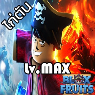 ไก่ตันผลตื่น 6 หมัด BLOX FRUIT Level 2400 (MAX) เกม Roblox แมพ BloxFruit - V4