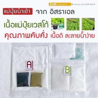 ปุ๋ยAB 2 ลิตร [ชนิดผง] ผักสลัด ปลูกผักไฮโดรโปนิกส์ (1:200)