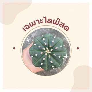 เฉพาะในไลฟ์ แอสโตร ไลฟ์สด