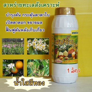 สาหร่ายทะเลสังเคราะห์ น้ำสีทอง สปริ้นโกล์ด สูตรเปิดตาดอก ช่วยผสมเกสร บำรุงต้นแข็งแรง สาหร่ายทะเล 1 ลิตร เหมาะกับพืชทุกชน