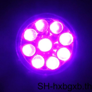 ไฟฉาย LED 9 ดวง สีม่วง สําหรับตั้งแคมป์ เดินป่า กลางแจ้ง [hxbgxb]