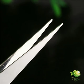 YOYO คีบหนีบสแตนเลส คีมหนีบอเนกประสงค์ มี 2 แบบ ปากคีบงอ ปากคีบแหลม Stainless steel tweezers