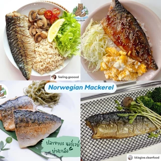 ปลาซาบะ นอร์เวย์ ปลาแช่แข็ง l 100g l 120g | Alaska King ปลาทะเลธรรมชาติ Norwegian Mackerel เนื้อนุ่ม ไม่คาว