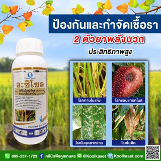 กำจัดโรค อะซิโซล 500 ซีซี ป้องกันกำจัดโรคกาบใบแห้ง โรคกาบใบเน่า โรคใบจุดสีน้ำตาล และโรคเมล็ดด่างในนาข้าว คูลเกษตร KF41