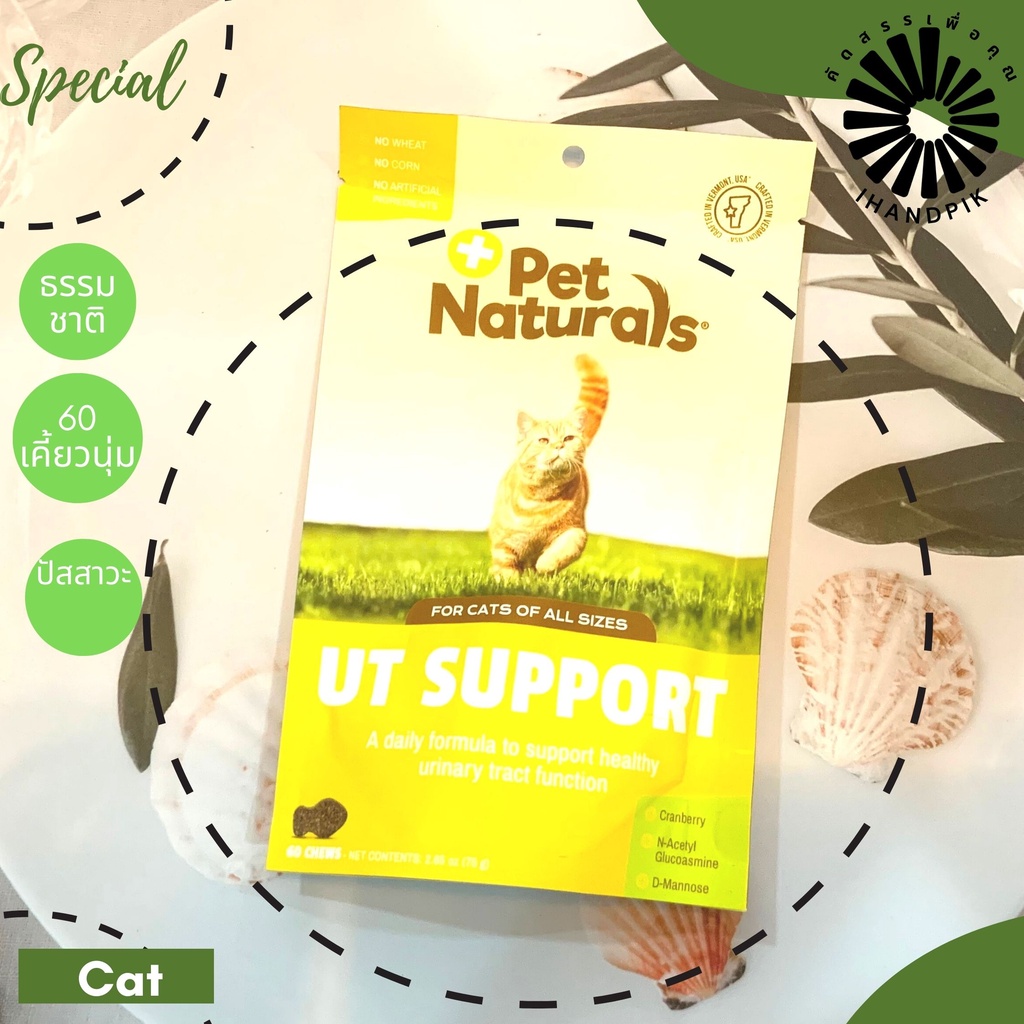 exp 08/26 Pet naturals UT Support for cat 60 chews 75g (ระบบปัสสาวะ แมว 60 เคี้ยวนุ่ม 75กรัม)