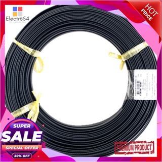 PLASTIC สายรัดพลาสติก PANSIAM PAN.S สีเขียว 10 เมตรPLASTIC STRAP PANSIAM PAN.S GREEN 10M