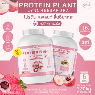 PROTEIN PLANT สูตร 1 โปรตีนแพลนท์ รสลิ้นจี่ โปรตีนพืชจากพืช 3 ชนิด ออแกรนิค (ตราวิษามิน) ขนาด 5 ปอนด์ (2.27 kg./กระปุก)