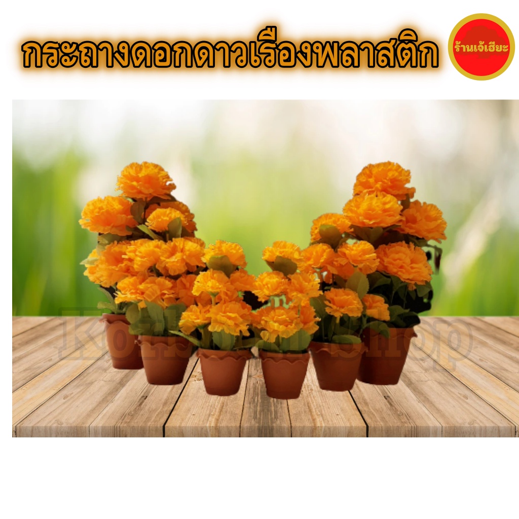 กระถางดอกดาวเรืองพลาสติก ดอกดาวเรือง ดาวเรืองกระถาง ดอกเบญจมาศ ดอกเบญจมาศกระถาง (ดอกไม้พลาสติก) (Marigold plastic)