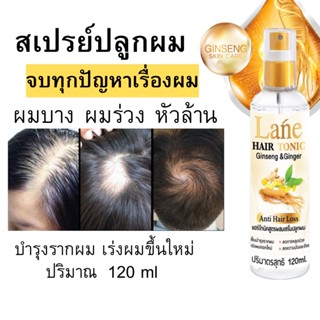 Lane แฮร์โทนิคโสม สเปรย์ปลูกผม น้ำยาปลูกผม สำหรับผมบาง ผมร่วง หัวล้าน 120 ml