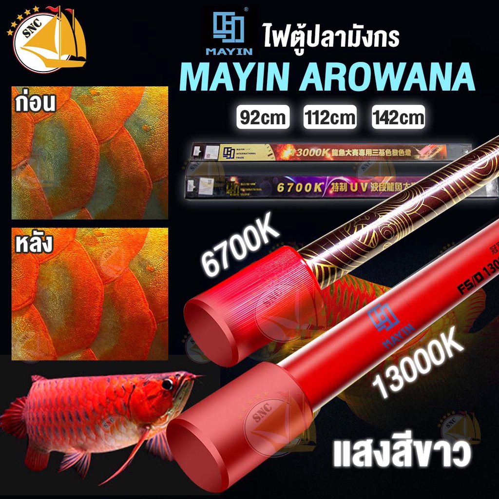 ไฟเลี้ยงปลามังกร MAYIN AROWANA ความยาว 92-142ซม. หลอดไฟตู้ปลา MY92 MY112 MY142 หลอดใต้น้ำ LED อุณภูมิแสง 6700k - 13000k
