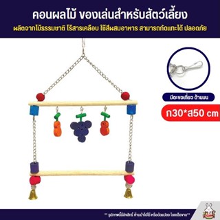 คอนผลไม้ ของเล่นสำหรับสัตว์เลี้ยง ผลิตจากไม้ธรรมชาติ ไร้สารเคลือบ ใช้สีผสมอาหาร สามารถกัดแทะได้ ปลอดภัย