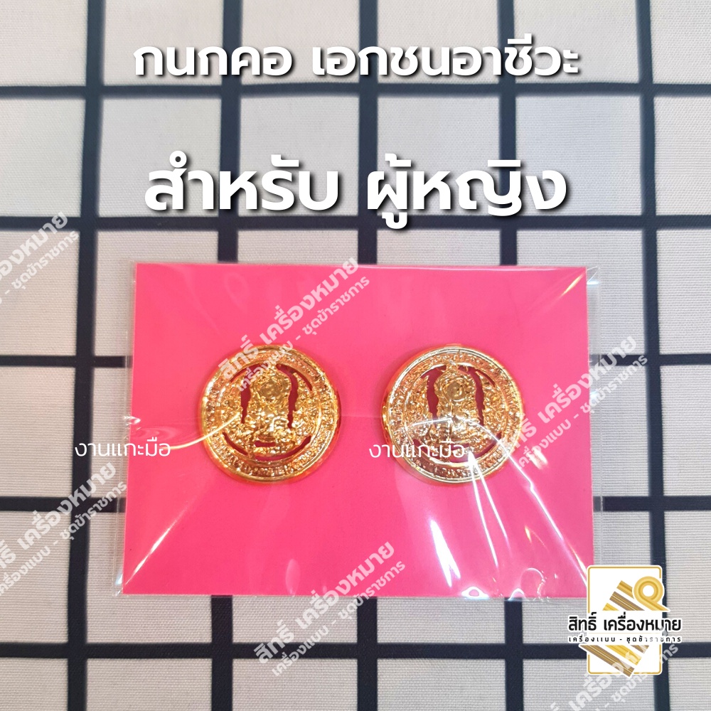 กนกคอเอกชนอาชีวะ สังกัดเอกชนอาชีวะ /เข็มติดปกคอเสื้อ-เครื่องหมายข้าราชการ-งานแกะมืออย่างดี (ขาเข็มกลัด)