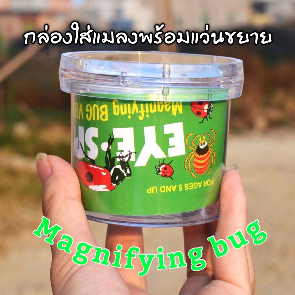 Lookmaebaby กล่องใส่แมลง วงจรชีวิตสัตว์ กล่องใส่แมลงพร้อมแว่นขยาย Sensory play