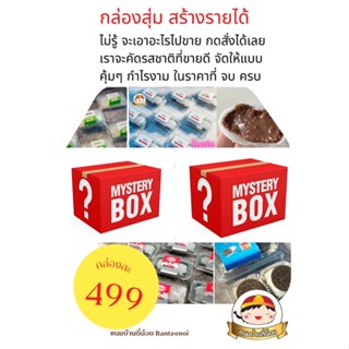 กล่อง สุ่ม สร้างรายได้พิเศษ 499 คุ้มๆ