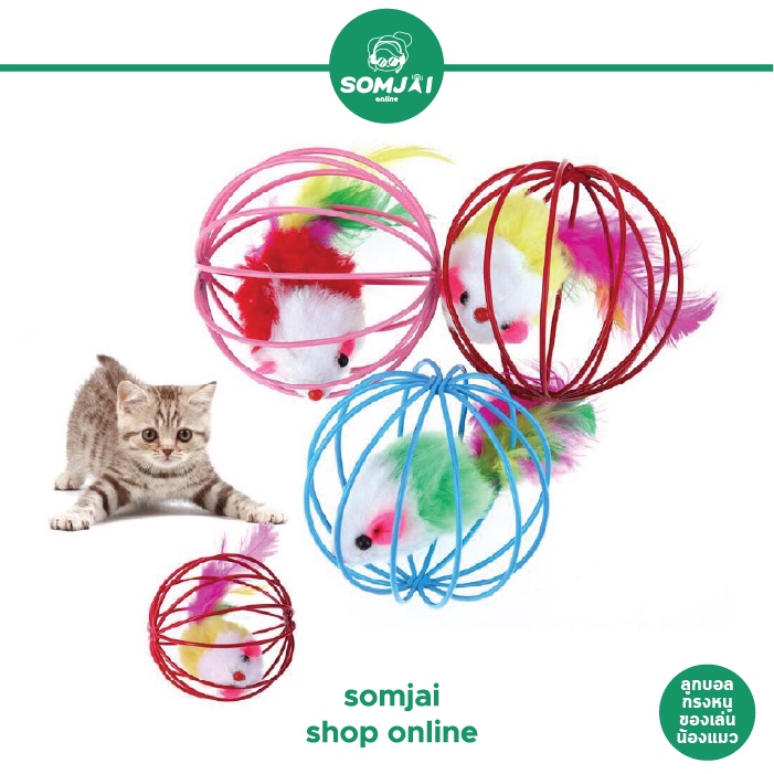Somjai Selected ลูกกรงแมว บอลกรงหนู ของเล่นน้องแมว