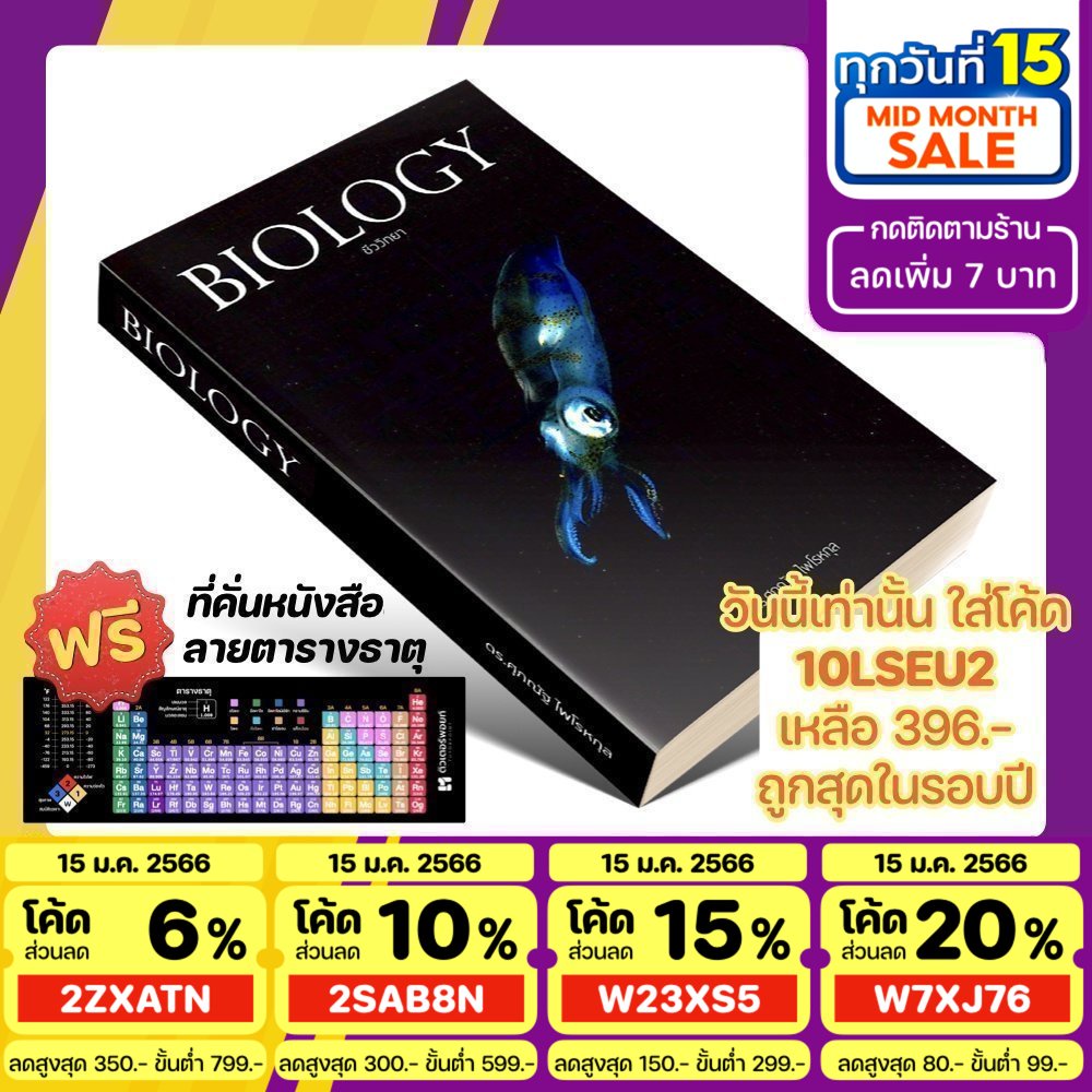 My Image 12