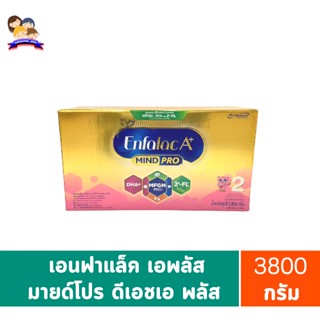 เอนฟาแล็คเอพลัสมายด์โปรดีเอชเอพลัสเอ็มเอฟจีเอ็มโปร2วิททู-เอฟแอล กล่อง3800กรัม