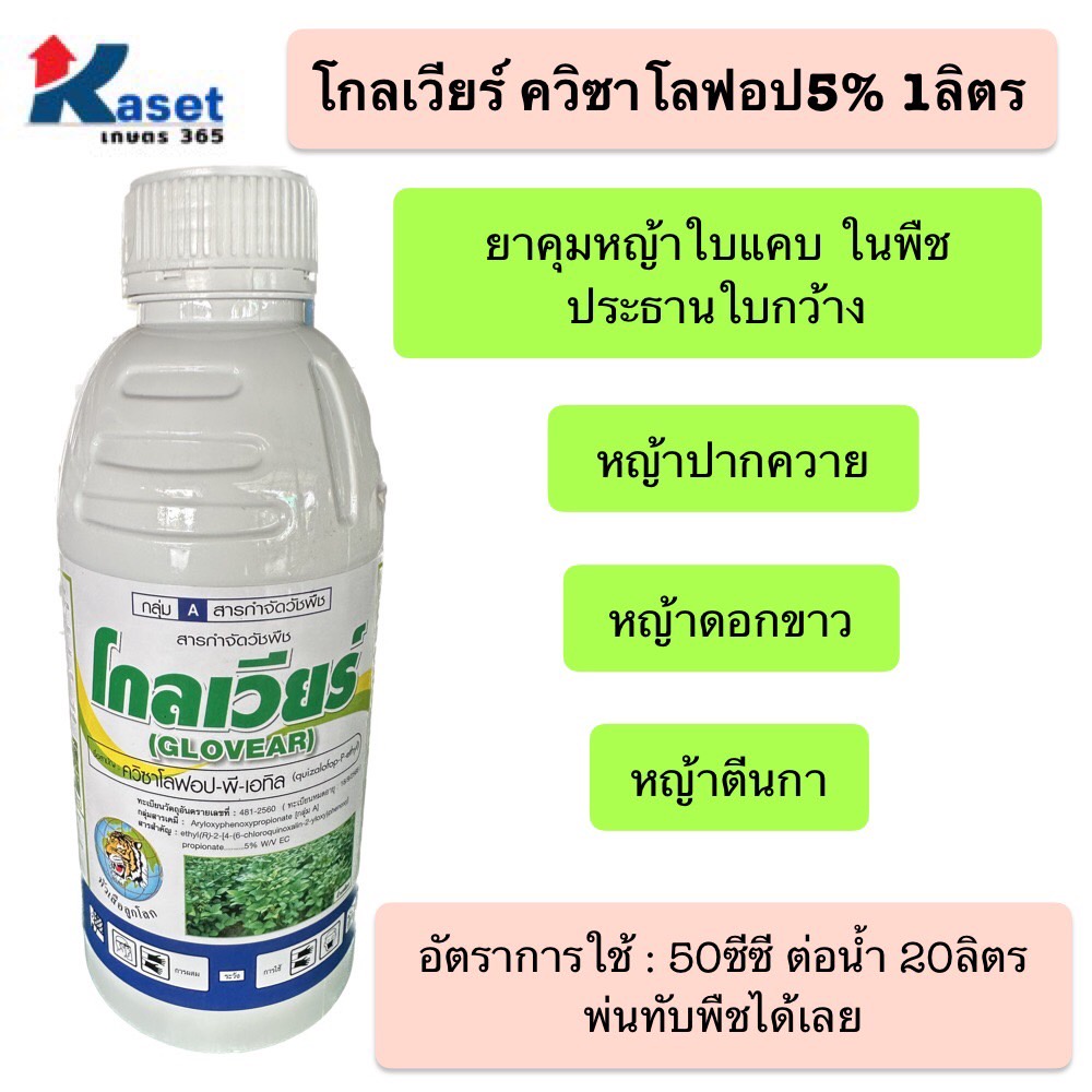 โกลเวียร์ ควิซาโลฟอป5% 1ลิตร ยาคุมหญ้าใบแคบ ฆ่าหญ้าใบแคบ กำจัดวัชพืชใบแคบ ในพืชใบกว้าง ยาฉีดหญ้าใบแคบ ทานตะวัน ผัก ถั่ว