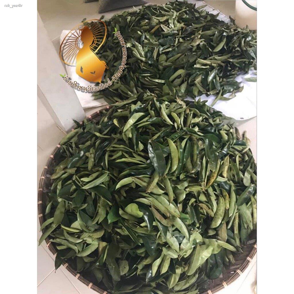 ส่งตรงจากกรุงเทพทุเรียนเทศ 30ซองชา ชาทุเรียนเทศ Organic Natural Pure Soursop / Graviola leaf ทำจากใบทุเรียนเทศ 100% สินค