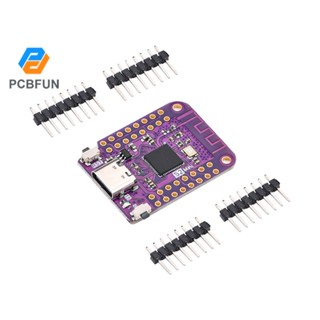 Pcbfun ESP32 S2 Mini TYPE-C 4MB แฟลช WIFI อินเตอร์เน็ต ของสิ่งต่าง ๆ บอร์ดพัฒนา DC 3.3V