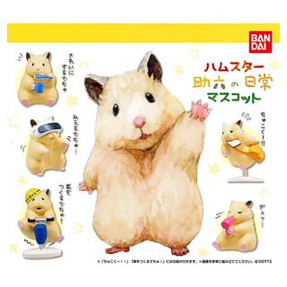 (มีของพร้อมส่ง) Gachapon กาชาปองหนูแฮมสเตอร์ Hamster Sukerokus daily life Bandai โมเดลสัตว์