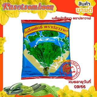 เมล็ดผักชีปลาวาฬ เมล็ดพันธุ์ผักชีไทย (พันธุ์เพิ่มผล) 300 ก. ตราปลาวาฬ