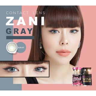 WinkWow Zani Eff.19 Gray ใหญ่