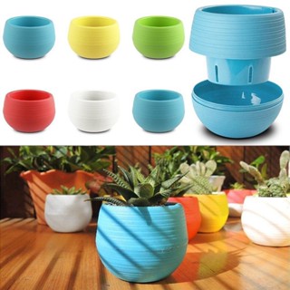 【AG】Cute Succulent Plants Flower Pot Saucer Tray Planter Home Desk Garden Decor