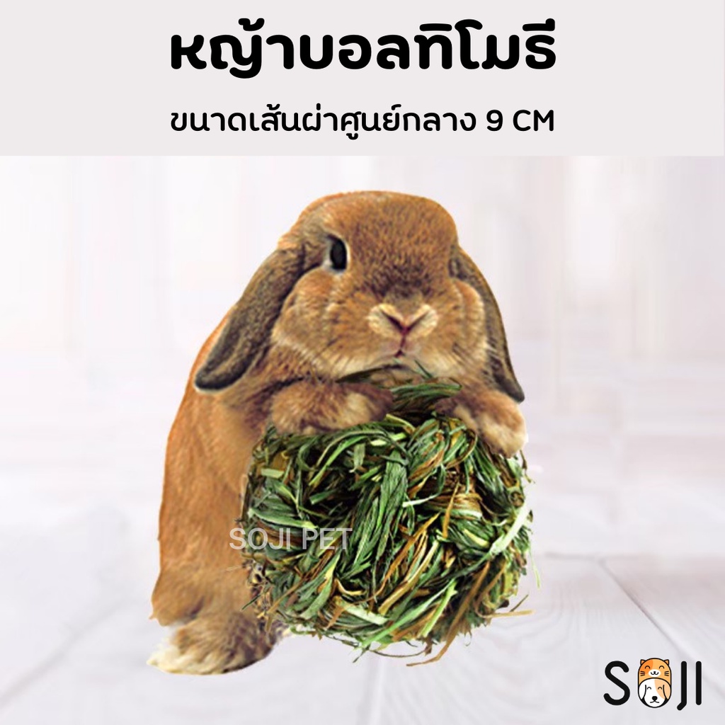หญ้าบอลทิโมธี Timothy ball ของเล่นลับฟันสำหรับสัตว์ฟันแทะ ของเล่น กระต่าย หนู แพรี่ด็อก ชินชิล่า เดกู ขนาด 9 cm