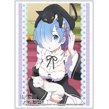 Bushiroad Sleeve HG Vol.1078 Re Life in a Different World from Zero [Rem]