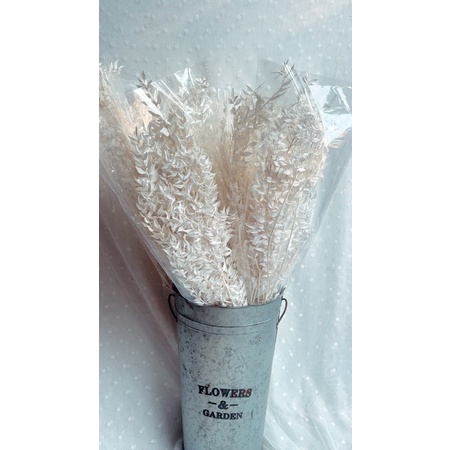 New !!! ใบ Ruscus preserved ลัสคัส สีขาวพร้อมส่งเลยจ้า ราคากำละ 300 บาทเท่านั้นจ้า ใบสวยแน่นอนจ้า