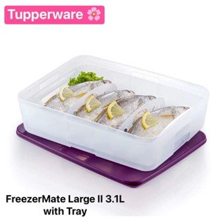 กระปุกแช่แข็งอาหาร Tupperware รุ่น FreezerMate Large II (1) 3.1L with Tray