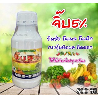 เมเจอร์จิพ5(จิบเบอเรลลิก5%)#จิ๊บ5% 500 ซีซี