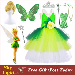 Tinker Bell Peter Pan ชุดเดรสคริสต์มาส แขนกุด ปักเลื่อม ดอกไม้ พร้อมวิกผม ของขวัญวันเกิด คอสเพลย์ ปาร์ตี้ สวมเต็มชุด สําหรับเด็กผู้หญิง